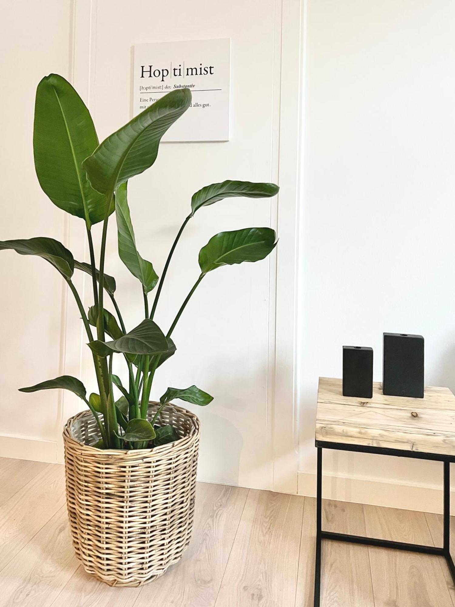 Makers And Rooms Apartment 01 Pauline 110Qm Parkplatz 1-4 Personen Детмолд Екстериор снимка